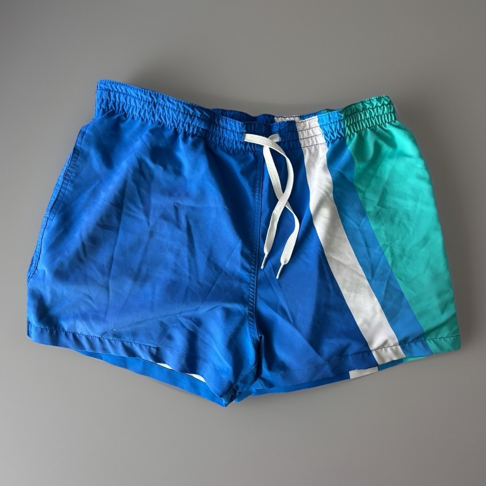 Chubbies Men's Blue Stripe Swim Trunks -Medium